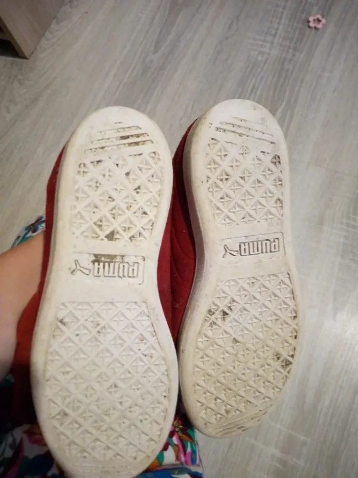 Puma avec gros lacet - photo numéro 2