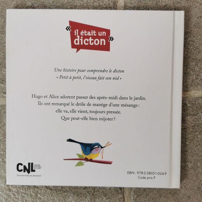 Petit à petit l'oiseau fait son nid - photo numéro 2