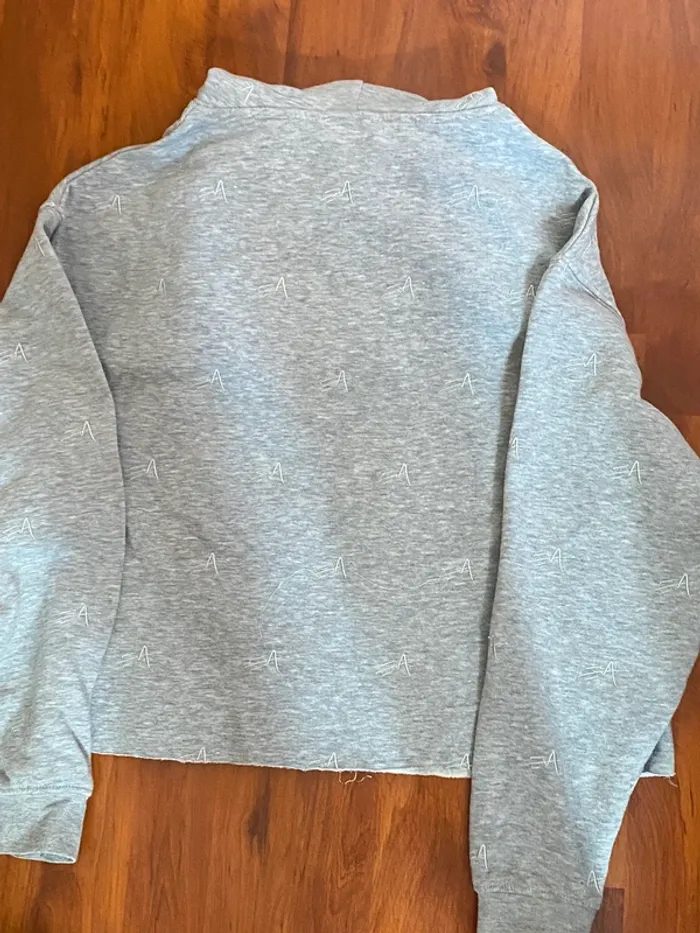 pull à capuche gris - photo numéro 2