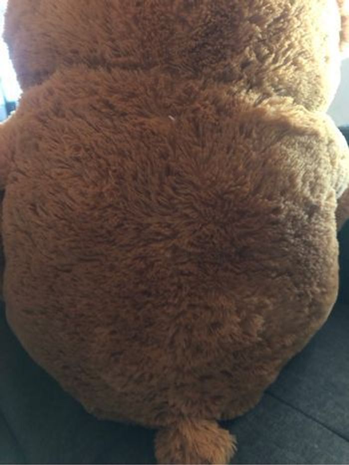 Grosse peluche nounours - photo numéro 4