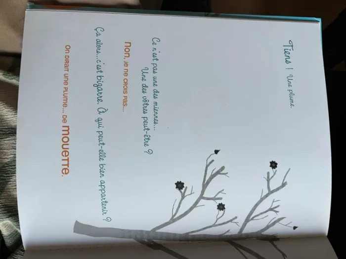 Livre la plume - photo numéro 11