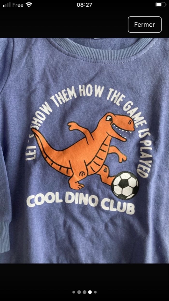 Pull dinosaures - photo numéro 4