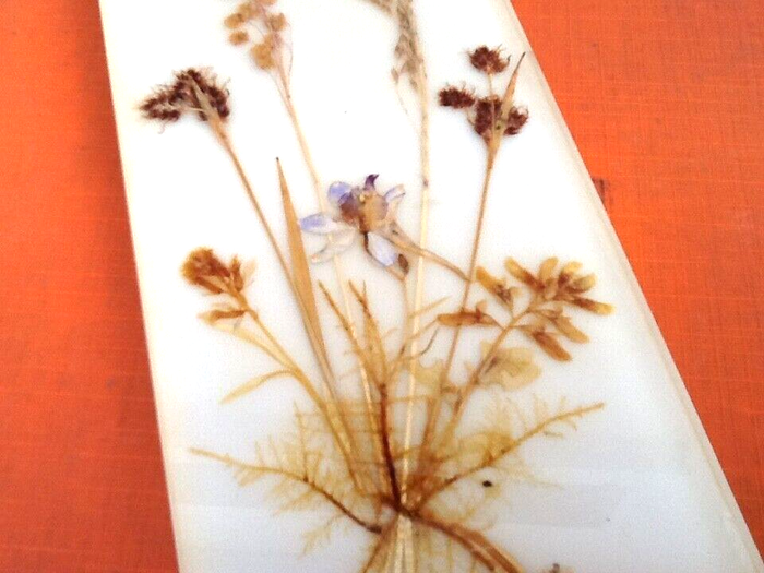 Années 1970 Herbier à suspendre fleurs pressées plexiglas - photo numéro 6