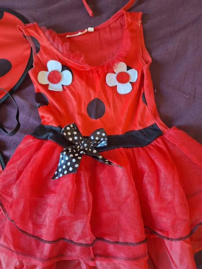 Robe Déguisement coccinelle - photo numéro 3