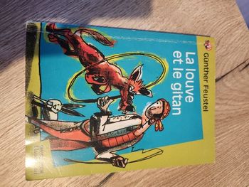 Livre " La louve et le gitan "