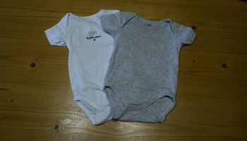 lot 2 bodies
