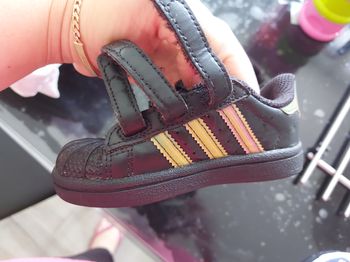Superstar pointure 21