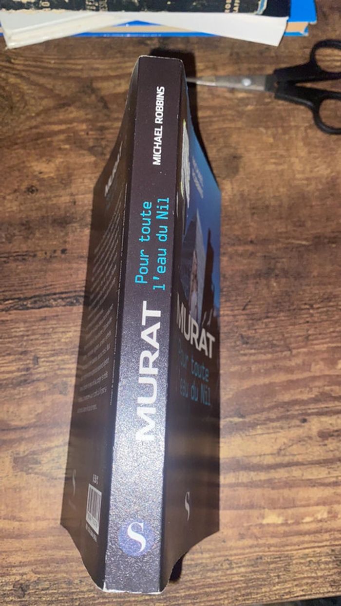 pour toute l’eau du nil - photo numéro 3