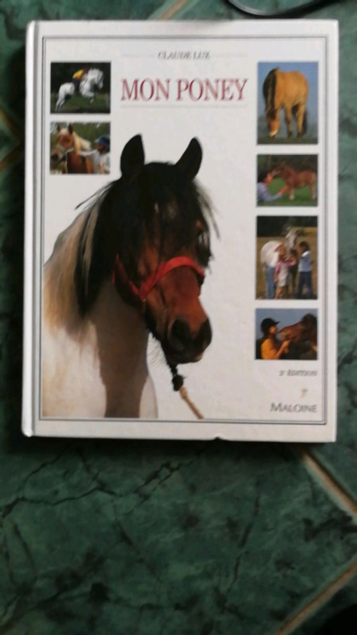 2 Livres neufs du cheval et du poney - photo numéro 5