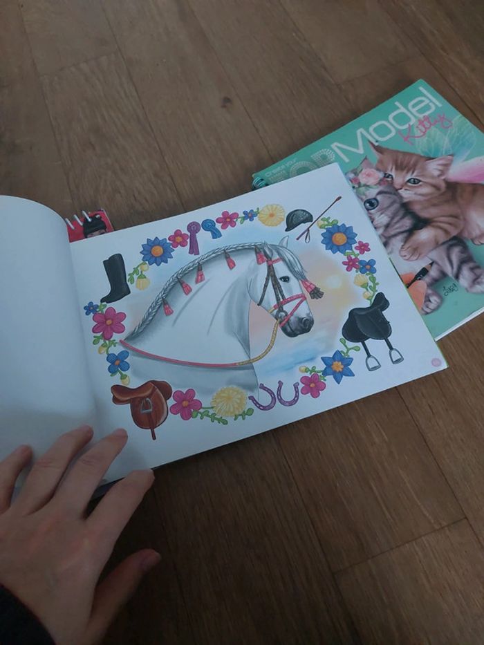 Lot 3 livres de coloriage avec autocollants - photo numéro 12