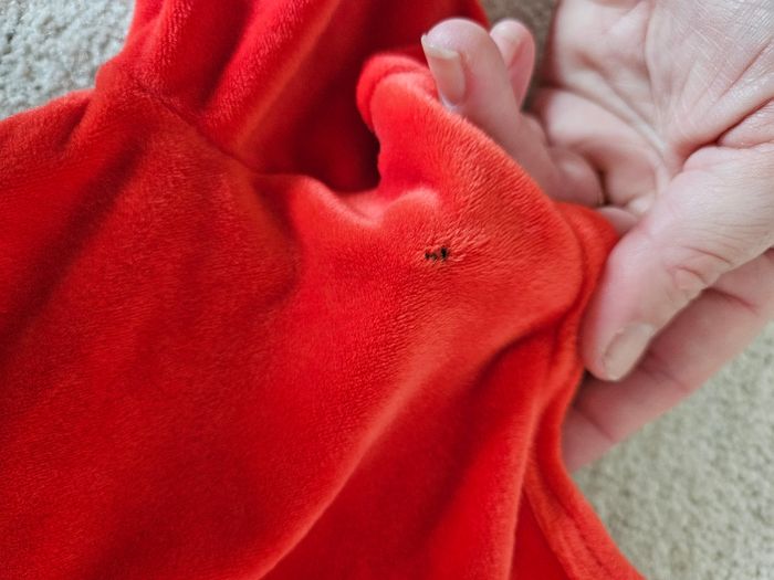 Pyjama - photo numéro 2