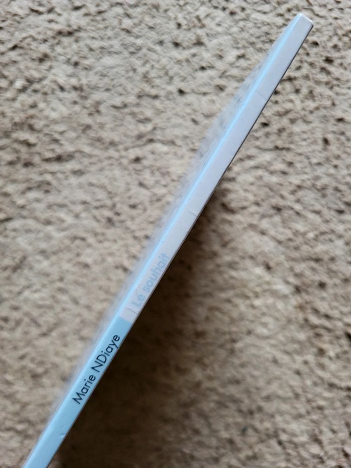 Le Souhait de Marie NDiaye – Animax de l'École des Loisirs - photo numéro 4