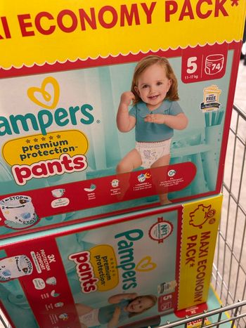 Pampers pants t5