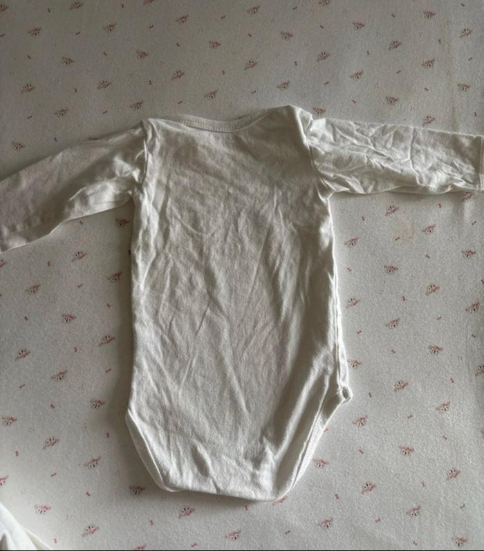 Lot bodies - photo numéro 5