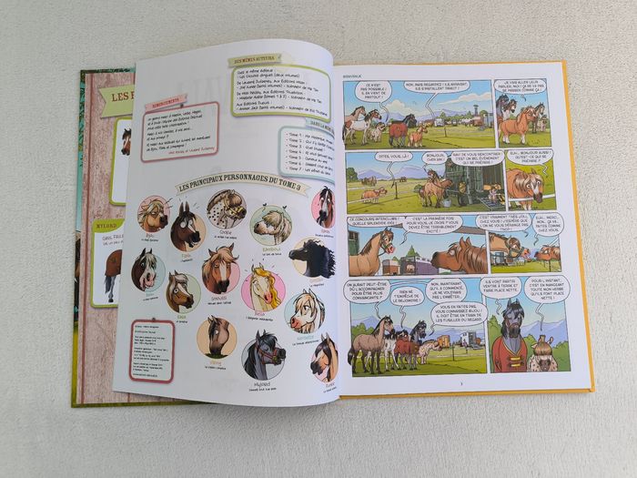 Livre À cheval 3 Delcourt - photo numéro 4