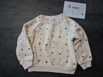 Pull doublé polaire