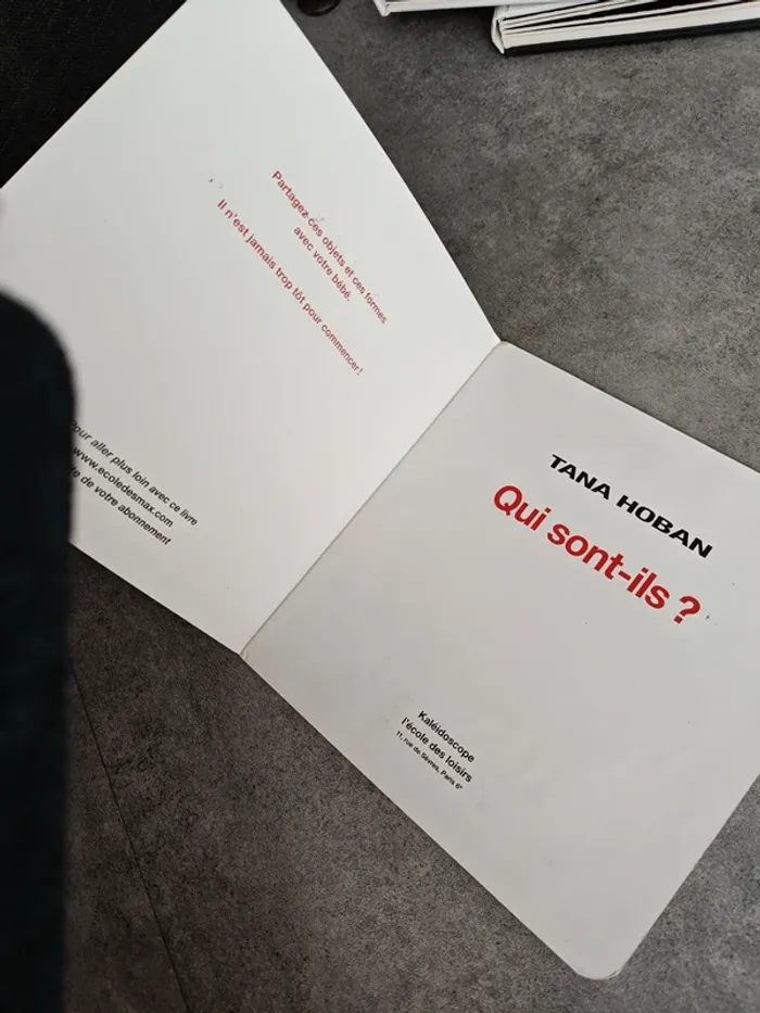 Qui sont ils ? Qu'est ce que c'est Tant Hoban - photo numéro 4