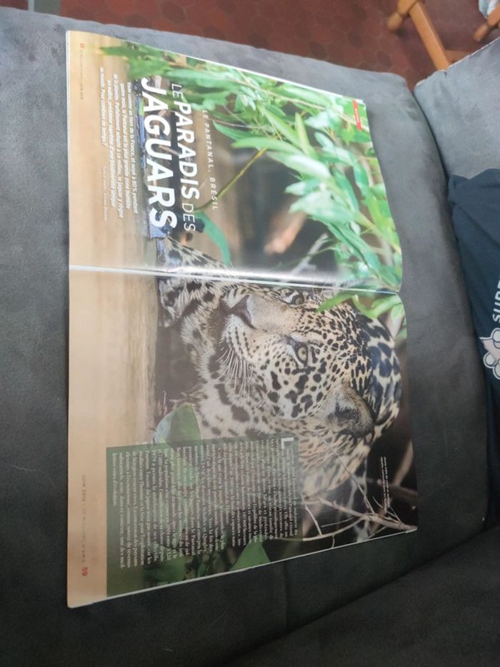 Magazine 30 millions d'amis numéro 374 été 2019 - photo numéro 8