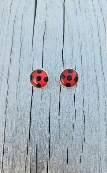Boucles d'oreilles à pinces