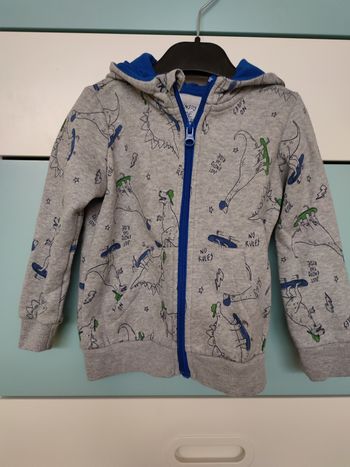 Pull chaud dinosaures