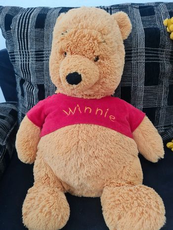 Winnie 60 cm - disneyland paris - poil long comme neuf