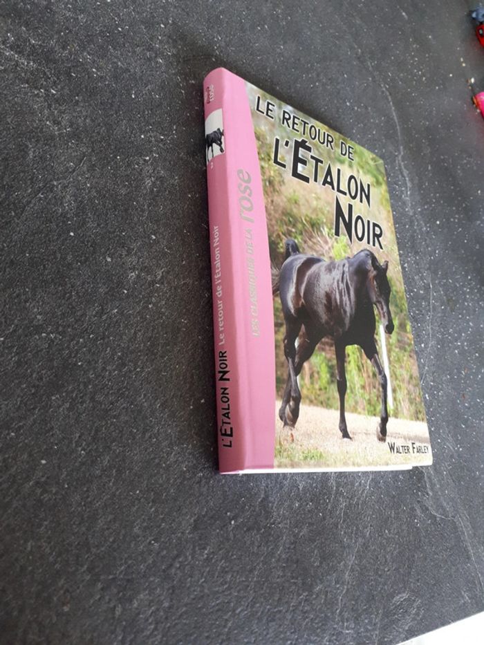Livre bibliothèque rose le retour de l'étalon noir tome 2 - photo numéro 2
