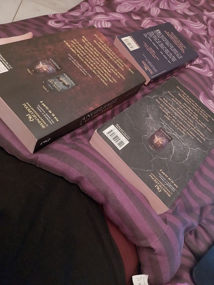 Romans Trilogie complète Angelfall tomes 1 à 3 Susan Ee Pocket Jeunesse - photo numéro 4