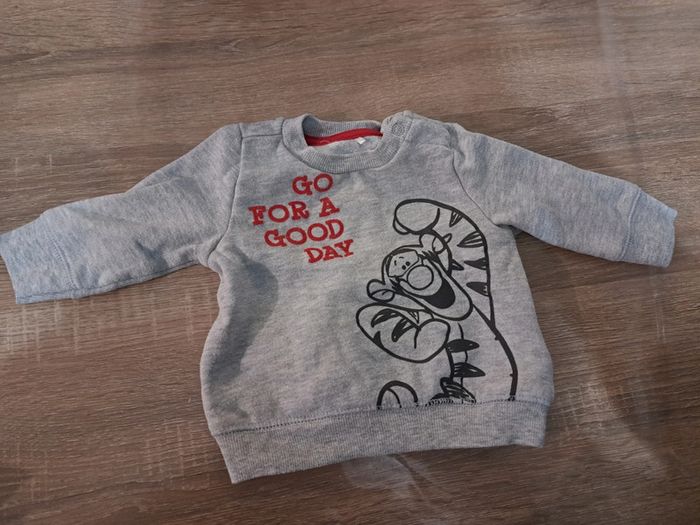 Sweat gris tigrou 3 mois - 60 cm