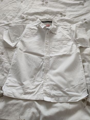 Chemises manches courtes