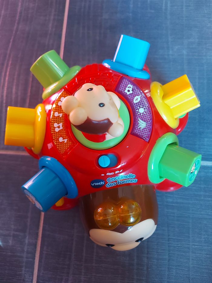 Coccinelle des formes - photo numéro 2