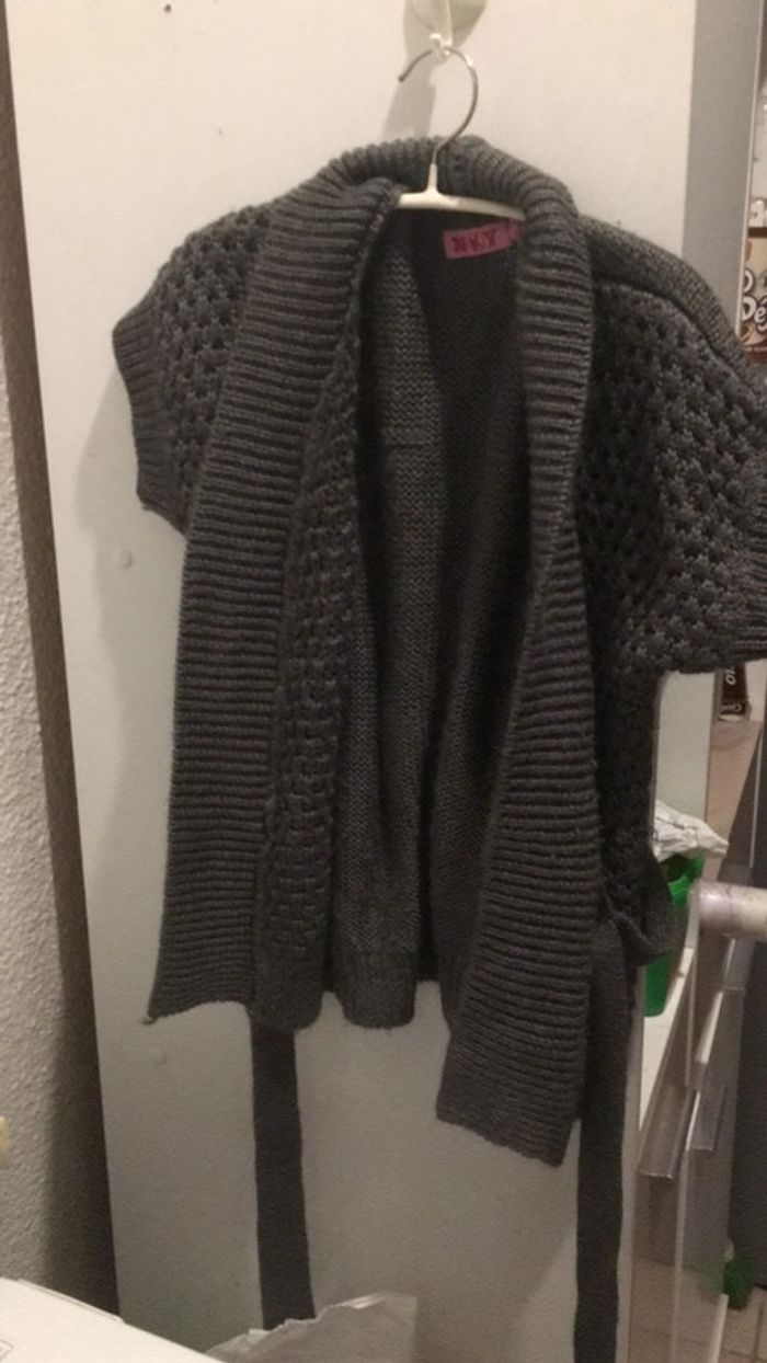 Gilet gris