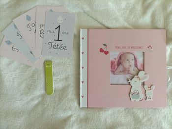 Lot : Livre de naissance