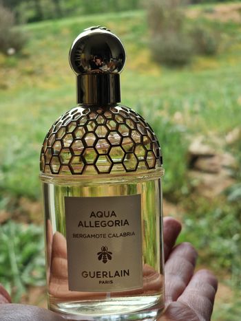 Aqua allegoria guerlain bergamote calabria 125ml