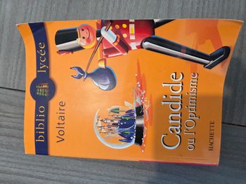 Livre candide ou l’optimisme
