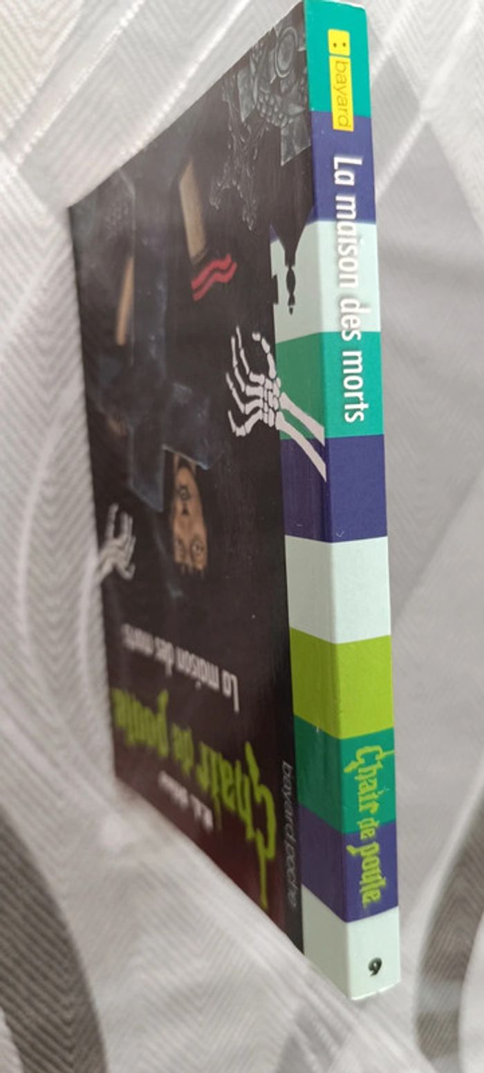 Livre chair de poule - photo numéro 2