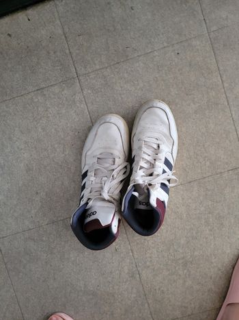 Baskets de sport classiques pour hommes Adidas LYM