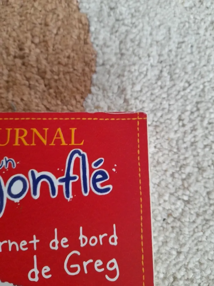 Journal d'un dégonflé - photo numéro 2