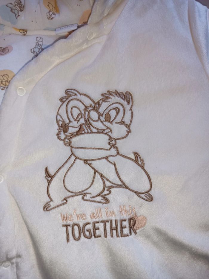 Pilote hiver Disney - photo numéro 4