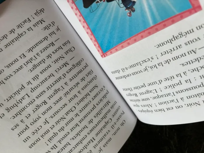 Miraculous - photo numéro 3