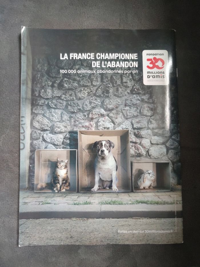 Magazine 30 millions d'amis numéro 375 été 2019 - photo numéro 2