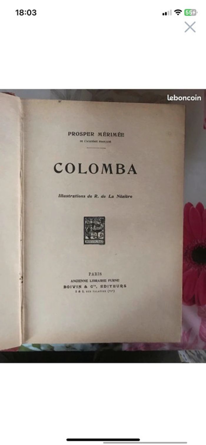 Colomba - photo numéro 2