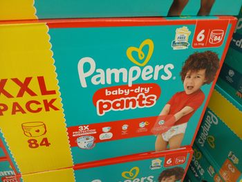 252 couches t6 pants