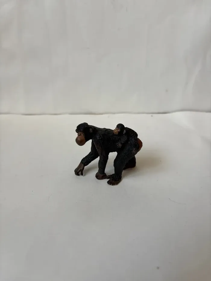 Singes papo