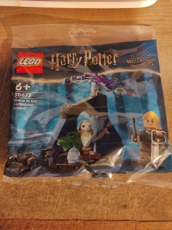 Lego Harry Potter 30677 Draco Dans La Forêt Interdite