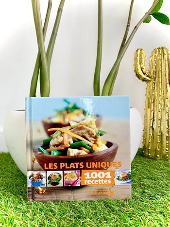 Livre recettes de cuisine : 1001 recettes les plats uniques