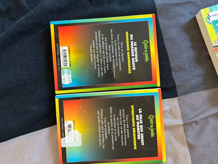 Livre chair de poule - photo numéro 2