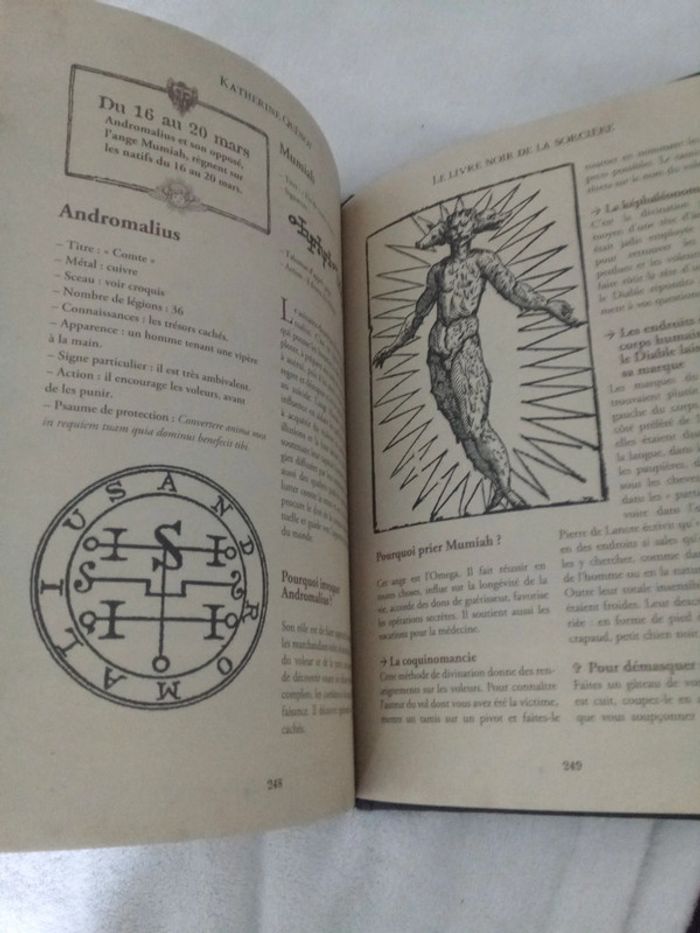 Le livre noir de la sorcière invoquer les demons7 - photo numéro 6