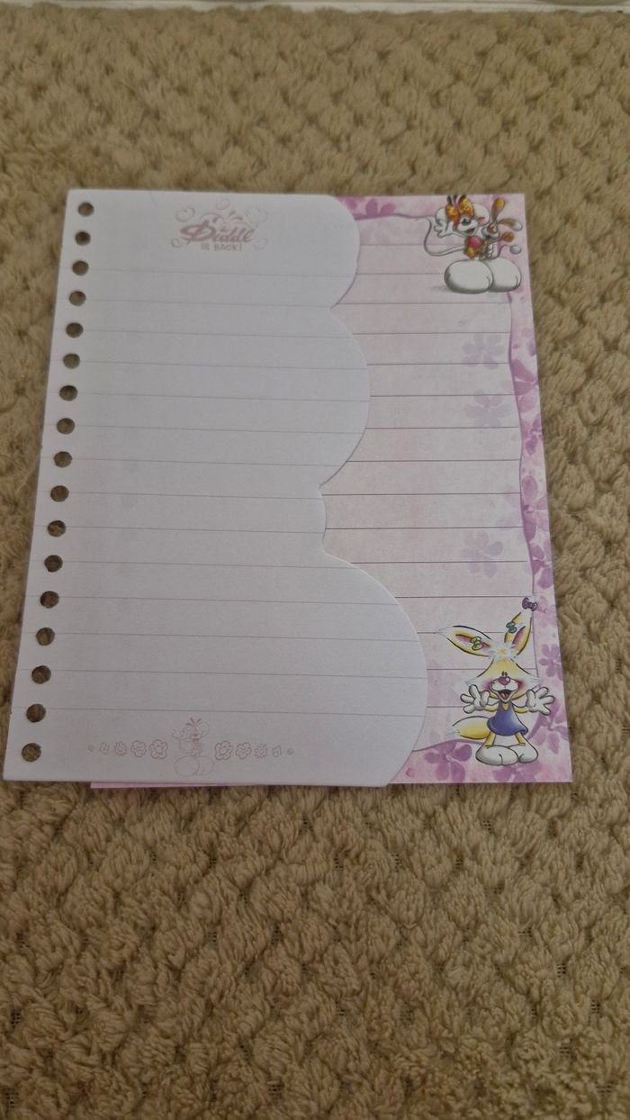 Lots de 6 feuilles diddl is back carnet - photo numéro 2