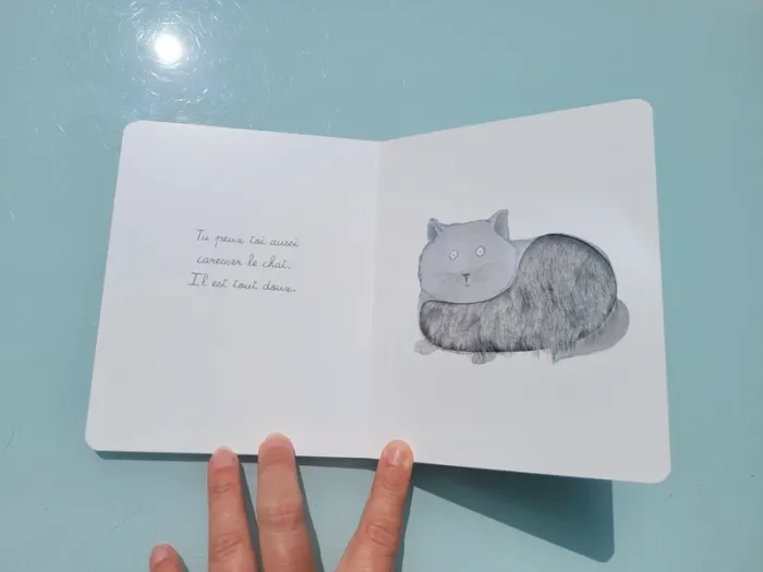 Coffret 3 livres tout carton Montessori 🐈 Bébé Balthazar, Ma première bibliothèque Montessori - photo numéro 8