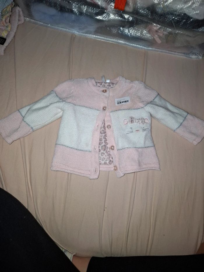 Gillet rose